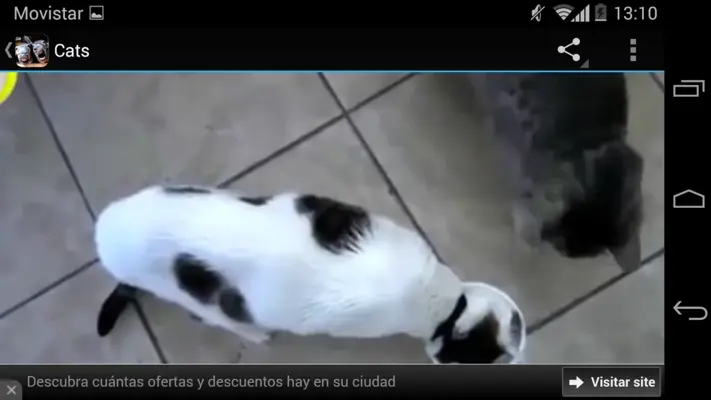 Videos graciosos para whatsapp android App screenshot 2